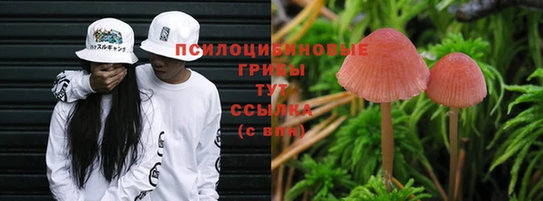 соль курить ск Вязьма