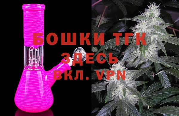 тгк Вяземский