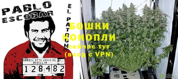 альфа пвп Горнозаводск