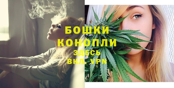 альфа пвп Горнозаводск