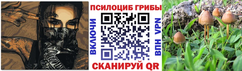 Галлюциногенные грибы Magic Shrooms  Зарайск 